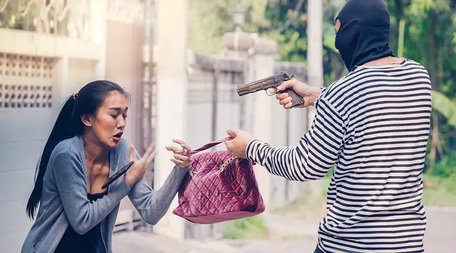 What Are The 7 Types Of Theft Prosecuted In Maryland